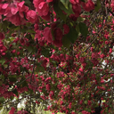 booksandotherfunstuff avatar