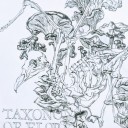 booksandsometea avatar