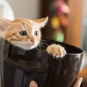 booksandwords avatar