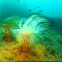 booksarebetterthanyou avatar