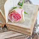 booksbooksgalore-blog1 avatar