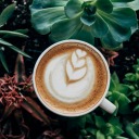 bookscoffee75 avatar