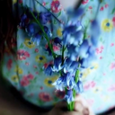 booksforlife55 avatar