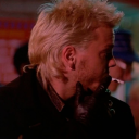 bookshelf-dust avatar