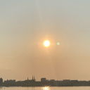 bookshelf6473 avatar