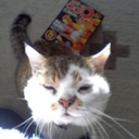 booksinflood-blog avatar