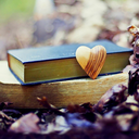 booksireadandloved avatar