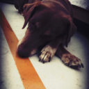 booksloveeandcofee avatar