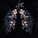 booksndconverse avatar