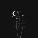 booksofthemoon avatar