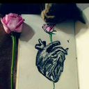 bookss-and-sarcasm avatar