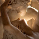 booksteadreamsflowers avatar