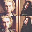 bookworm-always-always avatar