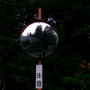 bookworm54321 avatar