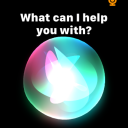 bookwormagain avatar