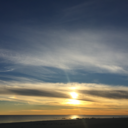 bookworming-sunabsorber avatar