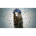 boom-gone-we-move-on avatar