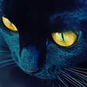 boomchecker-blog avatar