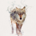 boomeranggirl avatar