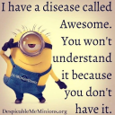 boomerbracket avatar