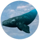 boonasaurusrex avatar