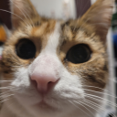 boop-de-boop-barf avatar