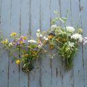 booradleyangelfoodcake avatar