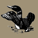 boots-and-guns avatar