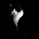 bootssolelicker avatar