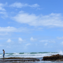 booty-not-war avatar