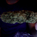 booty-scientist avatar