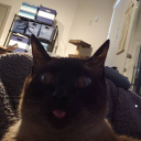 bootycallofcthulhu avatar