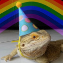 bootyhole-joel avatar