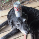 bootymctooty2 avatar