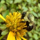 bootyschurchblog avatar