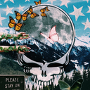 bootyshelf-holla avatar