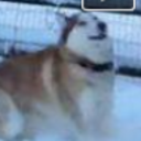 bootywraith-blog avatar