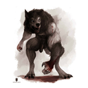 borderdogbarks avatar