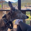 borderingdelirium avatar