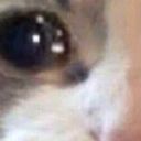 borderline-bxtch avatar