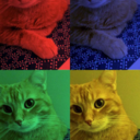 borderlinedestruction avatar