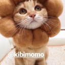 borderlinehero avatar