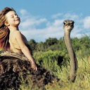 borderlineinsane avatar