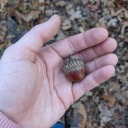 bordersbookthirst avatar