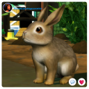 borealiscottagecoregalore avatar