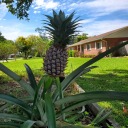 bored-on-baker-st avatar