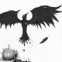 borederlinecrazy avatar