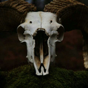 boredommmmmmm avatar