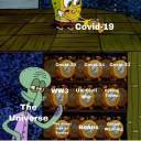 boringfstarstarcunt avatar