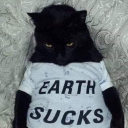 boris-pink-2006 avatar